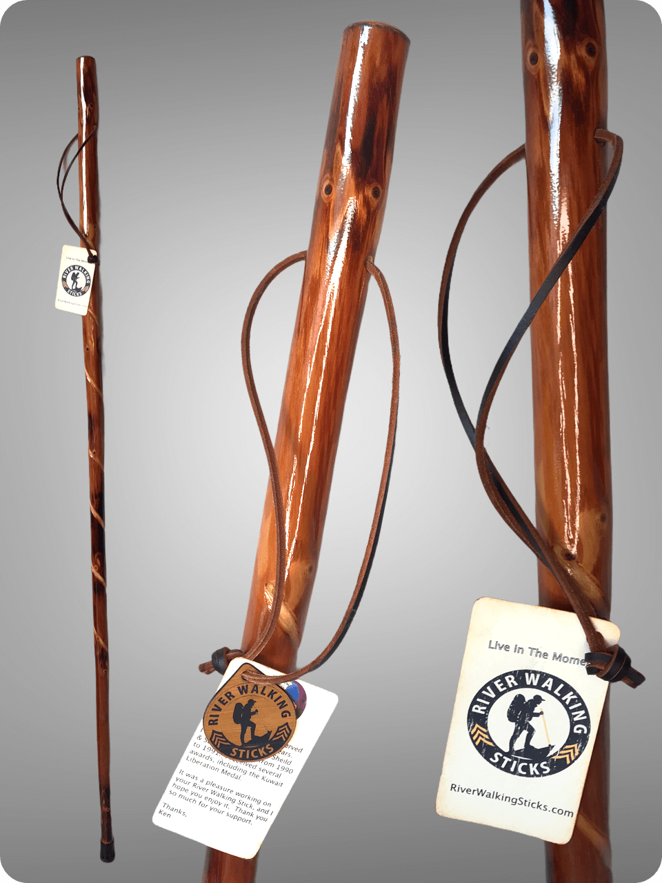 Dioramas and Clever Things: Canes 2  Walking sticks, Wooden walking  sticks, Cool walking canes